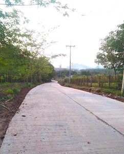 ภาพถนนคอนกรีต 2 เลนด้านหน้าที่ดินที่มุ่งสู่ทางหลวงหมายเลข 2249 ซึ่งอยู่ห่างออกไป 150 เมตร