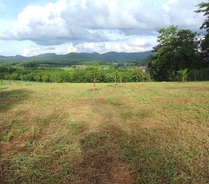 ขายที่ดิน 15 ไร่ในเลย ประเทศไทย วิวภูเขาใกล้เมือง โฉนด หน้ากว้าง 142 เมตร ติดถนนสาธารณะคอนกรีต 2 เลน วิวจากจุดสูงสุดของที่ดินเป็นพื้นที่ก่อสร้างที่สวยงามมาก ขายที่ดิน 15 ไร่ในจังหวัดเลย ประเทศไทย แปลงสวยรูปสี่เหลี่ยมจัตุรัสติดถนนคอนกรีตพร้อมโฉนด 35 นาทีจากบิ๊กซี โลตัส แมคโคร โฮมโปร และโกลบอล ที่ดินตั้งอยู่บนเนินเขา น้ำไม่ท่วม วิวทิวเขาและชนบทที่สวยงามน่าประทับใจ บ่อน้ำลึกและไฟฟ้า 3 เฟส ภาพนี้ถ่ายจากยอดเขาไปยังภูเขาโดยรอบ ที่ดินทั้งหมดถูกเคลียร์และสามารถเดินได้ ยกเว้นต้นยางพาราที่ด้านข้างของถนนทางเข้า ที่ดินมีรั้วลวดหนาม ที่ดินนี้เป็นแปลงสี่เหลี่ยมจัตุรัสขนาด 142 เมตร ตั้งอยู่บนถนนคอนกรีตสาธารณะสองเลน